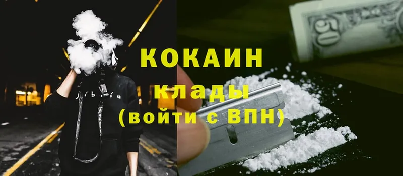 COCAIN Fish Scale  Навашино 