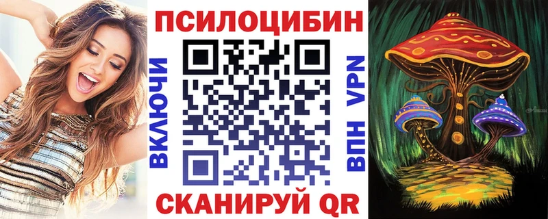 Псилоцибиновые грибы Psilocybe где можно купить наркотик Навашино